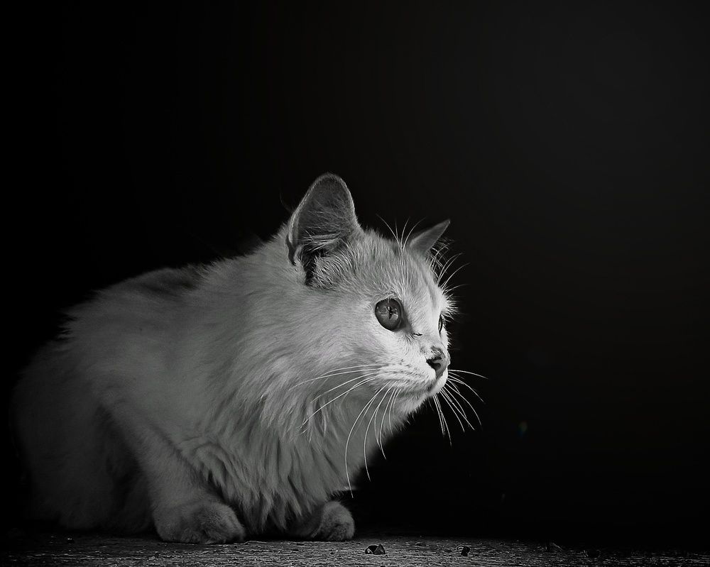 Photograph by Rishabh Solanki