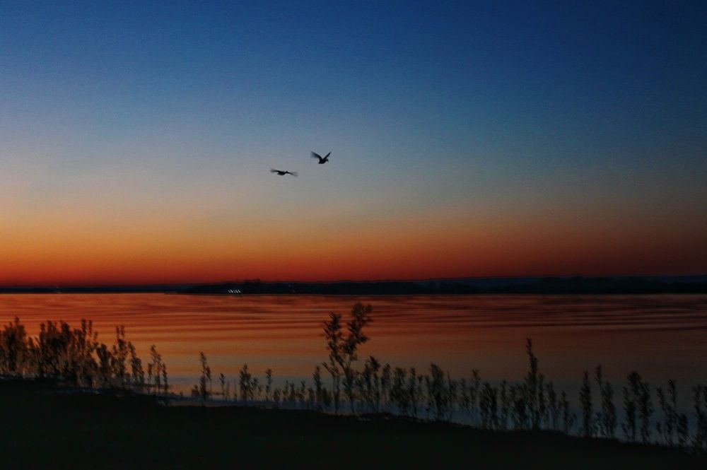 Photograph by Иван Соловьев