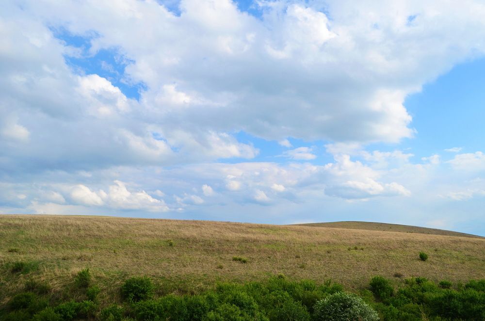 Photograph by Anna Kichapina