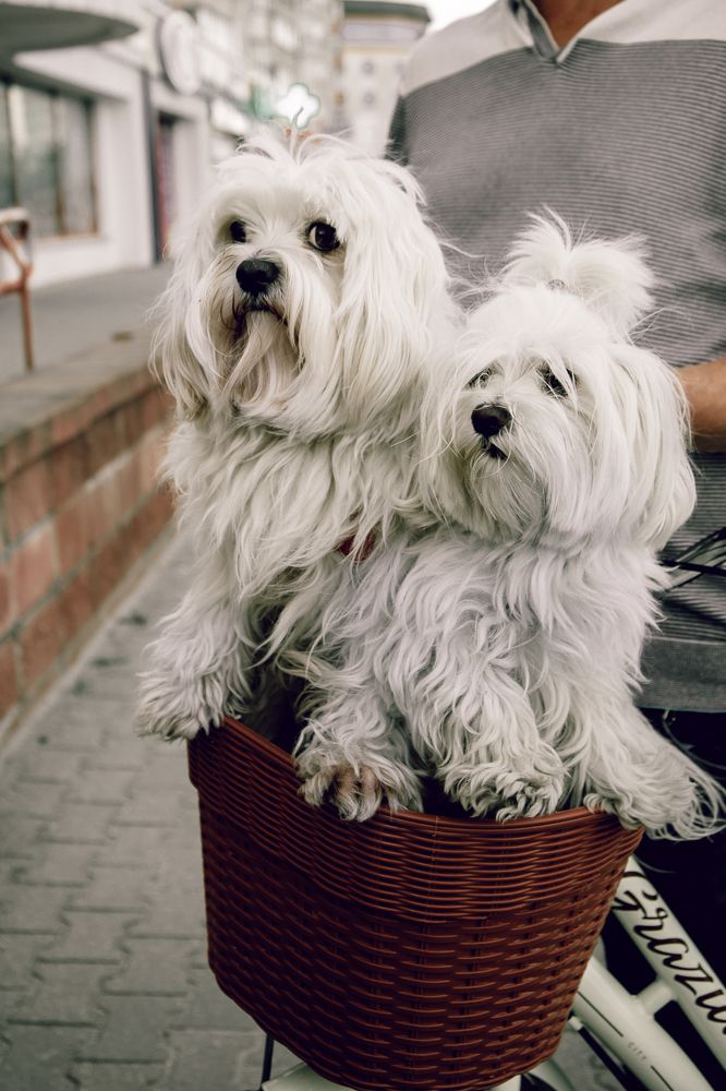 Photograph by Viyaleta Zmitrovich