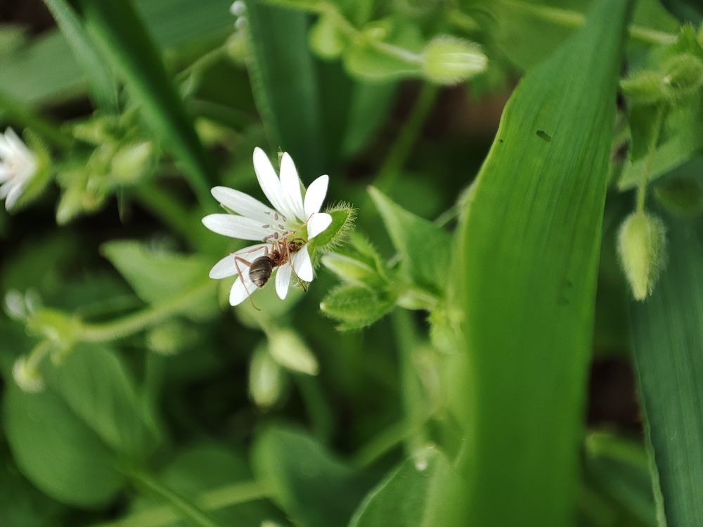 Photograph by Ирина Шевчук