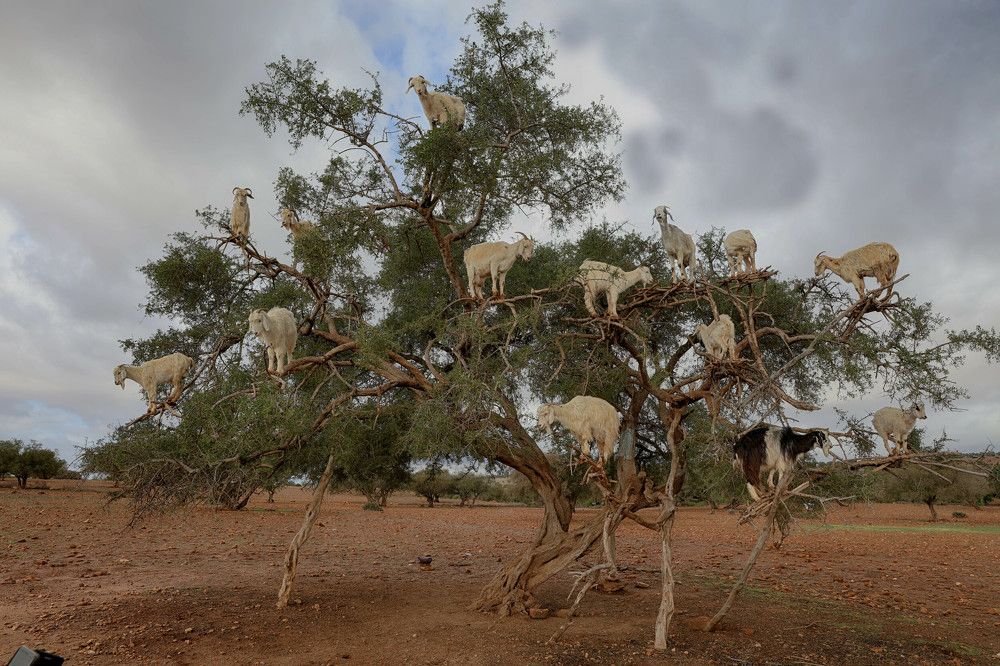 Photograph by Владимир Леликов