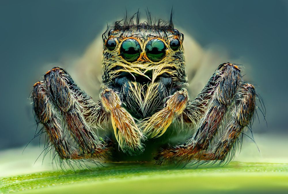 Photograph by Иван Радьков