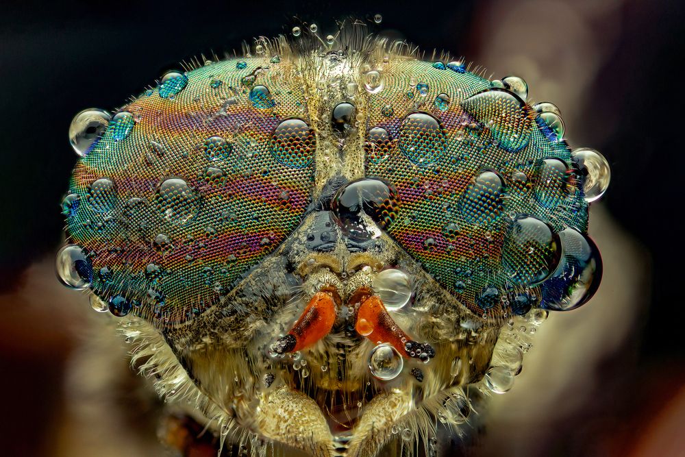 Photograph by Иван Радьков