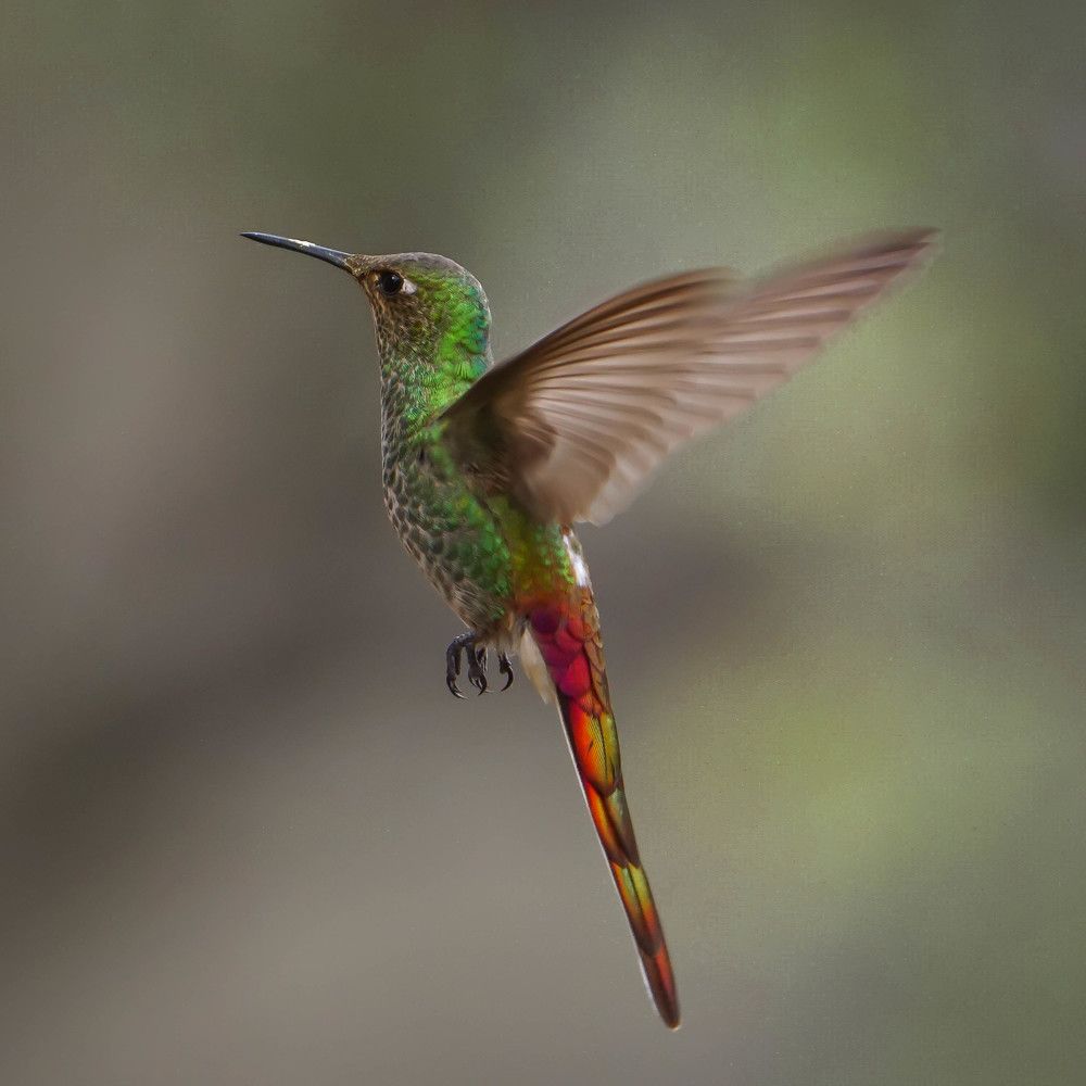 Photograph by Karina Elena Bergagna