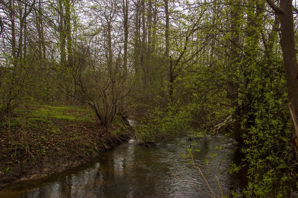 Photograph by Анна-Лаймуте Милошевич