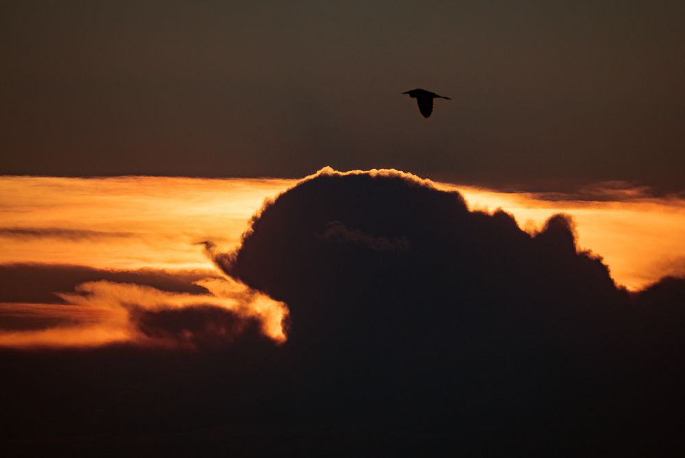 Photograph by Матвей Матвеев