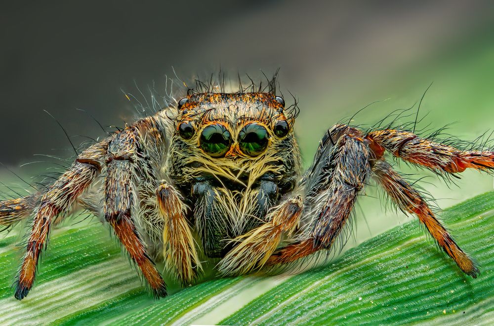 Photograph by Иван Радьков