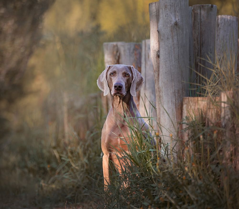 Photograph by Татьяна Тихомирова