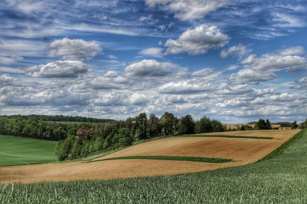 Photograph by Swetlana Lebedev