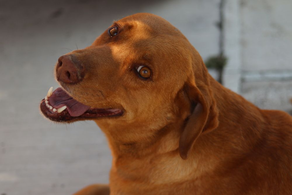 Photograph by Andrea Alcalá