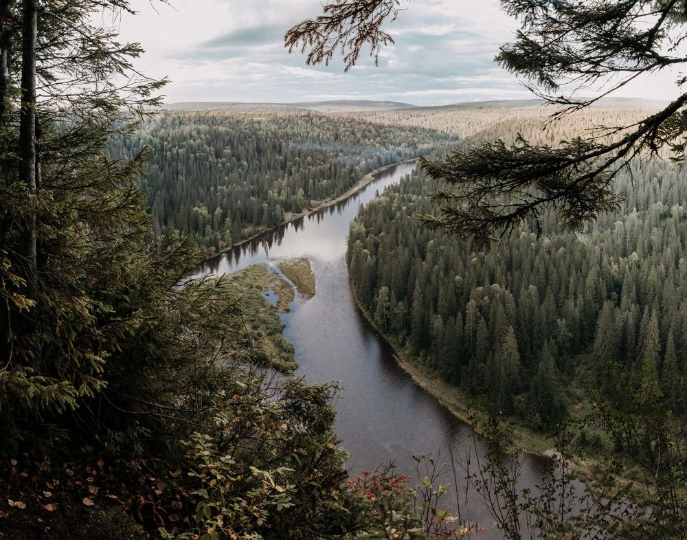 Photograph by Татьяна Егорова