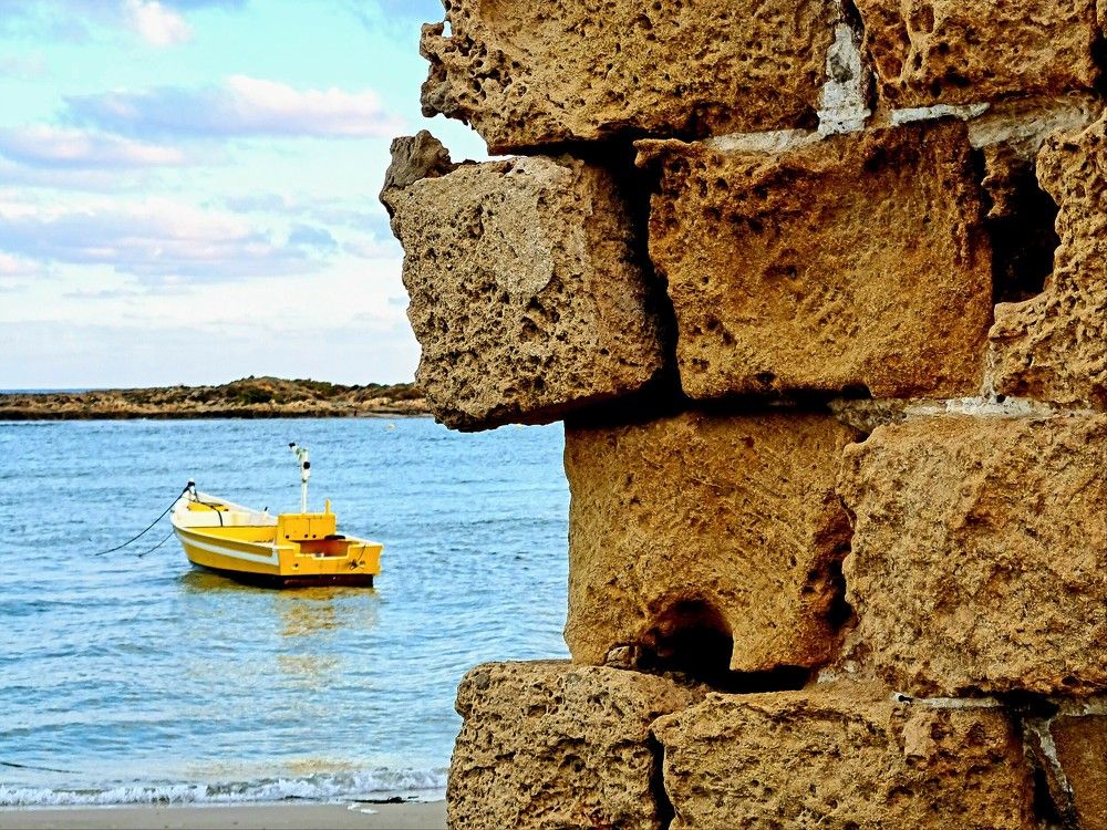 Photograph by יעל מנור