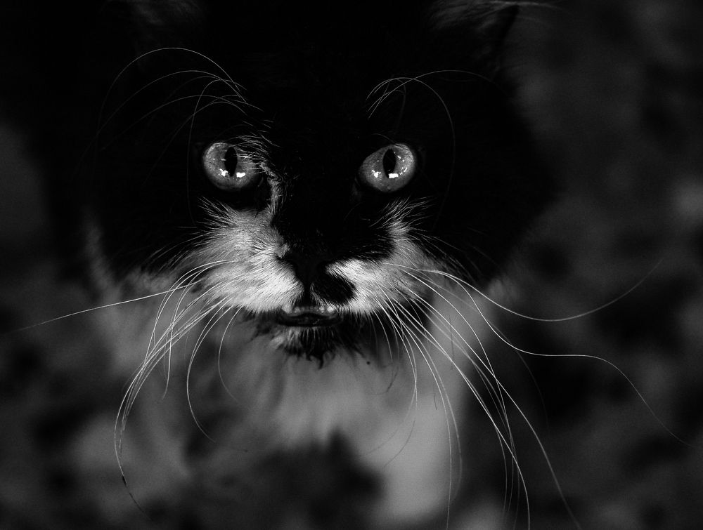 I'm not scary or angry.....!!!!