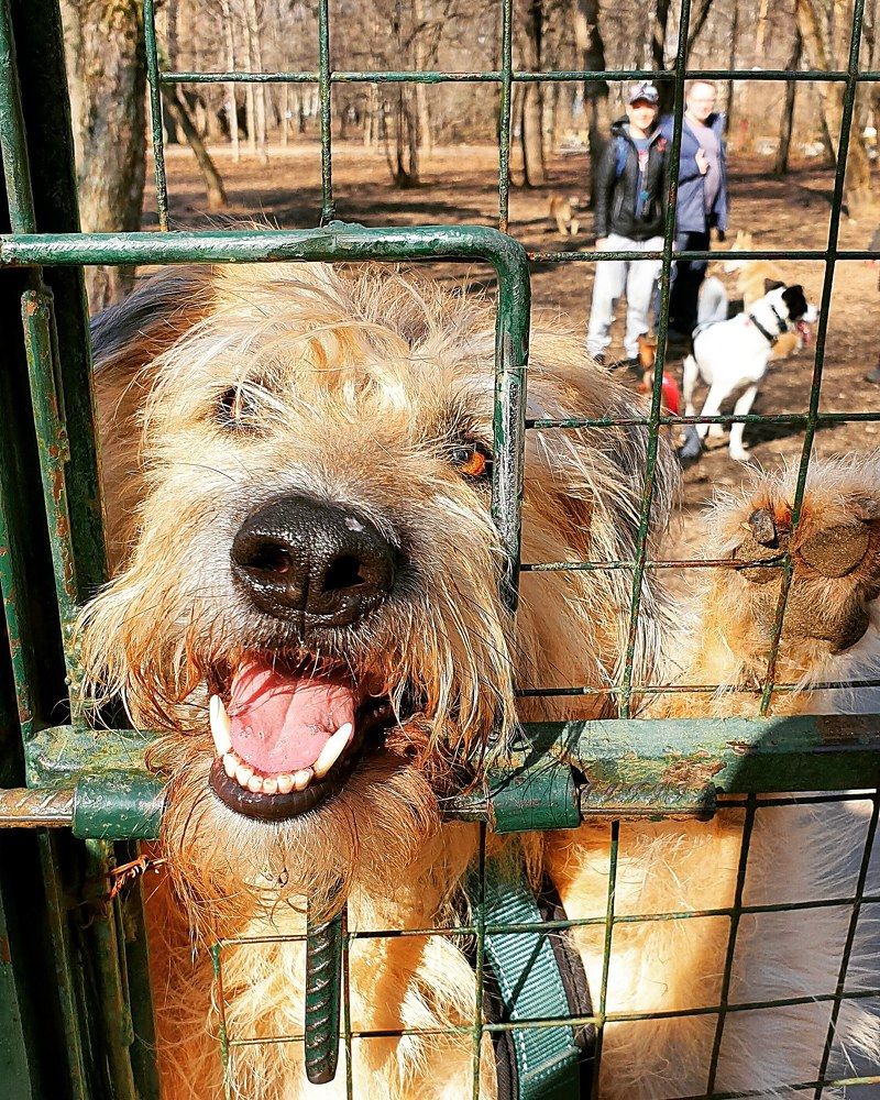 Друг Патрик( Patrik)