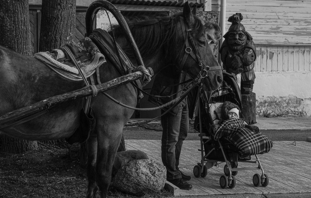 Фотография автора Глеб Рубашкин