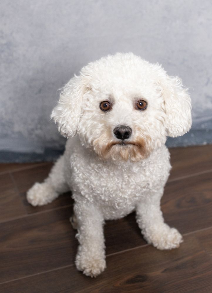 Photograph by Alessia Belakur