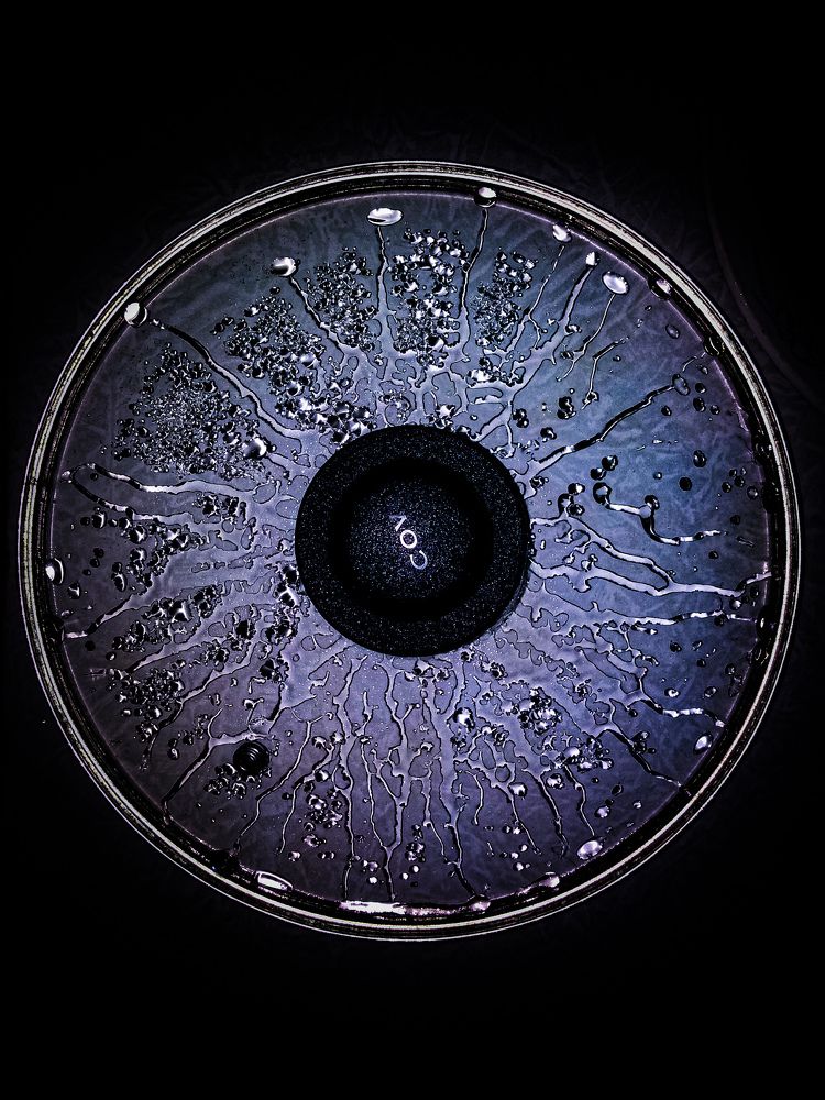 Фотография автора Оля Алехнович