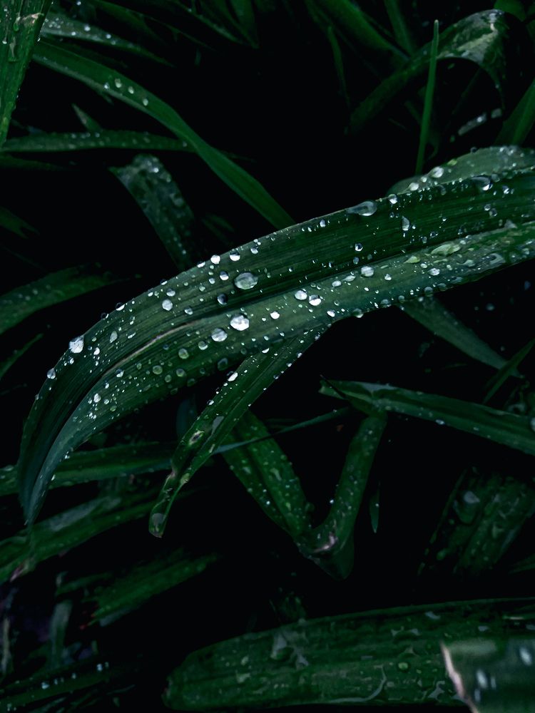 Фотография автора Оля Алехнович