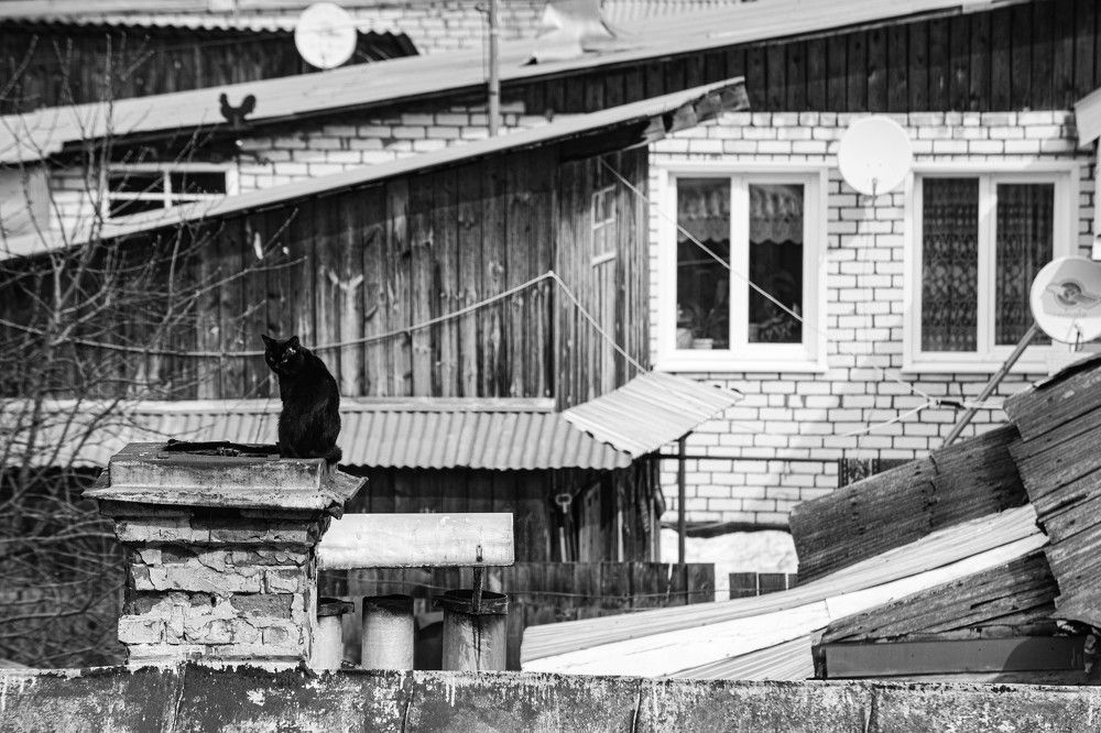 Фотография автора Глеб Рубашкин