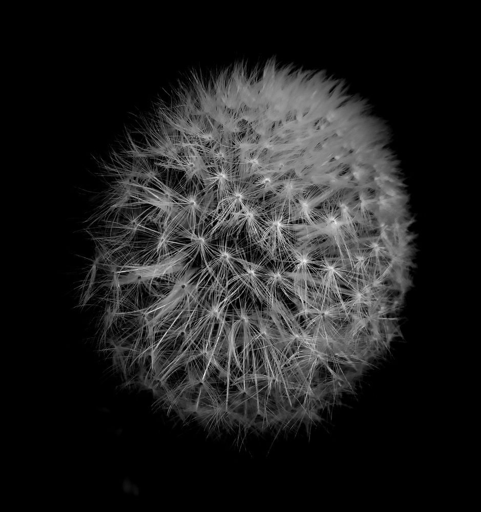 Фотография автора Оля Алехнович