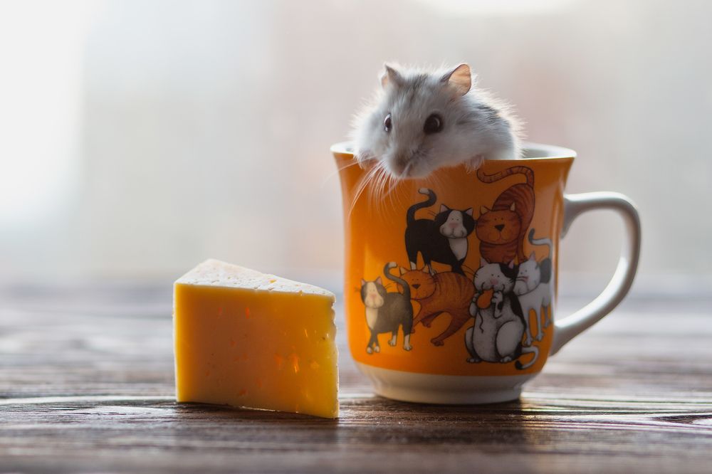 Photograph by Екатерина Кваша