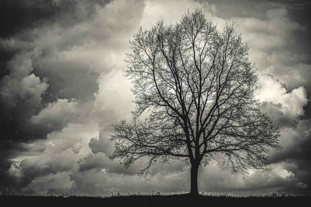 Photograph by Agnieszka Szadowiak