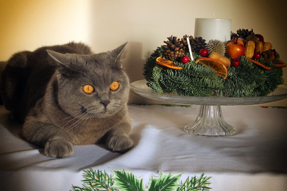 Photograph by Guntars