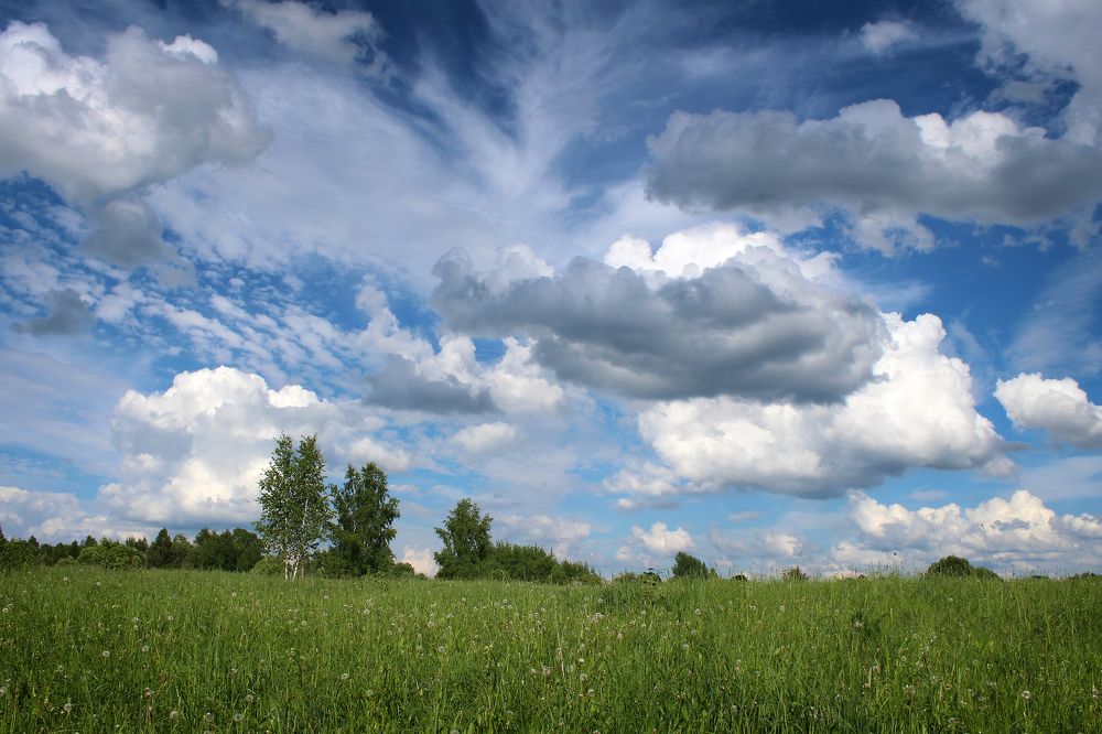 Photograph by Guntars