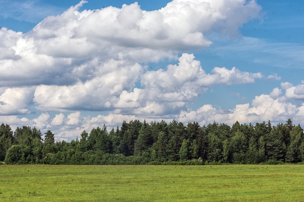 Photograph by Елена Стещенко