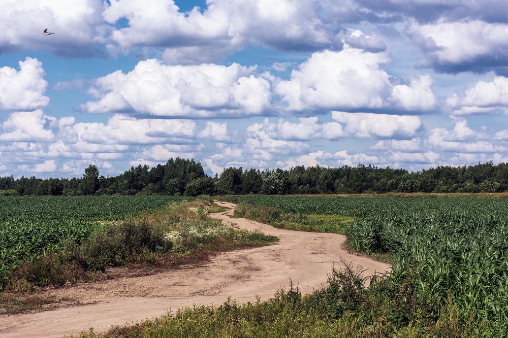 Photograph by Елена Стещенко