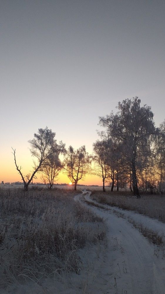 Photograph by Дэн