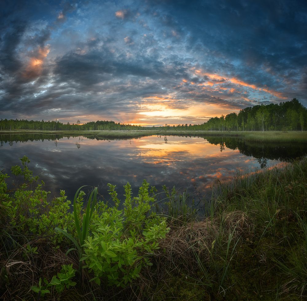 Photograph by Николай Андреев