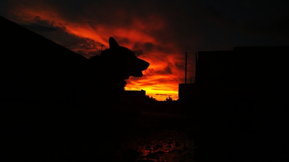 Photograph by Вадим Кумпяк