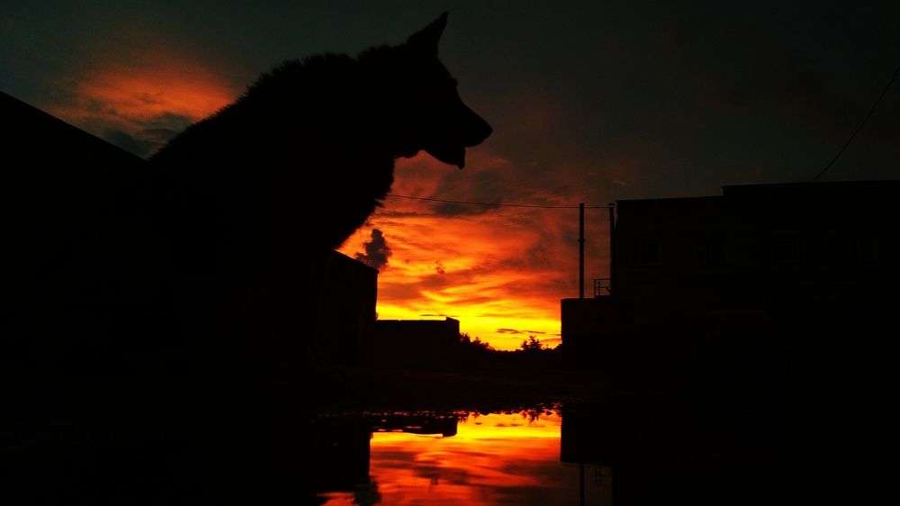 Photograph by Вадим Кумпяк