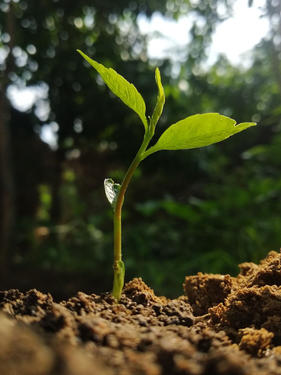 Photo #6158455