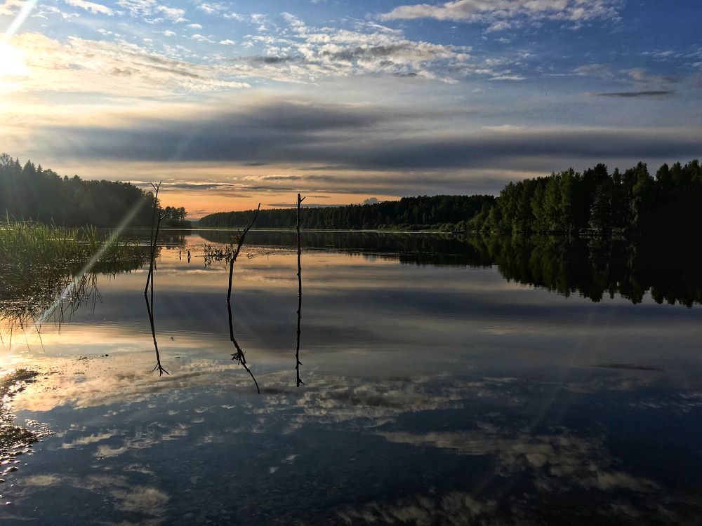 Photograph by Olga Vinogradova