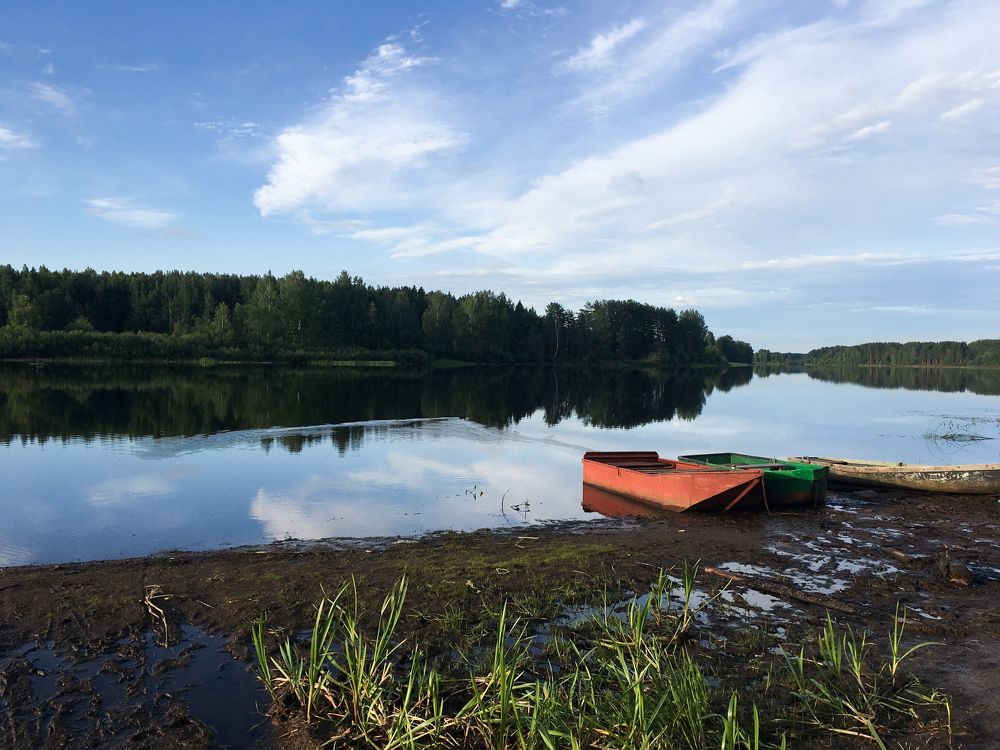 Photograph by Olga Vinogradova