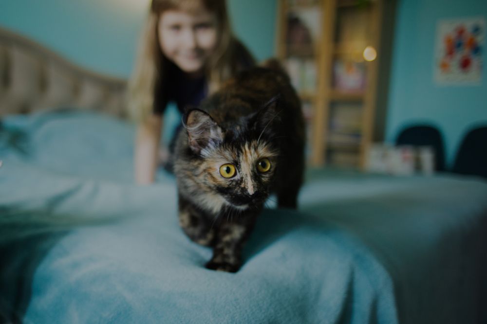 Photograph by Olga Vinogradova