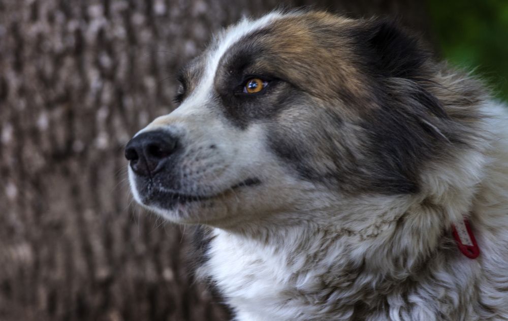 Photograph by Анна Кривицкая