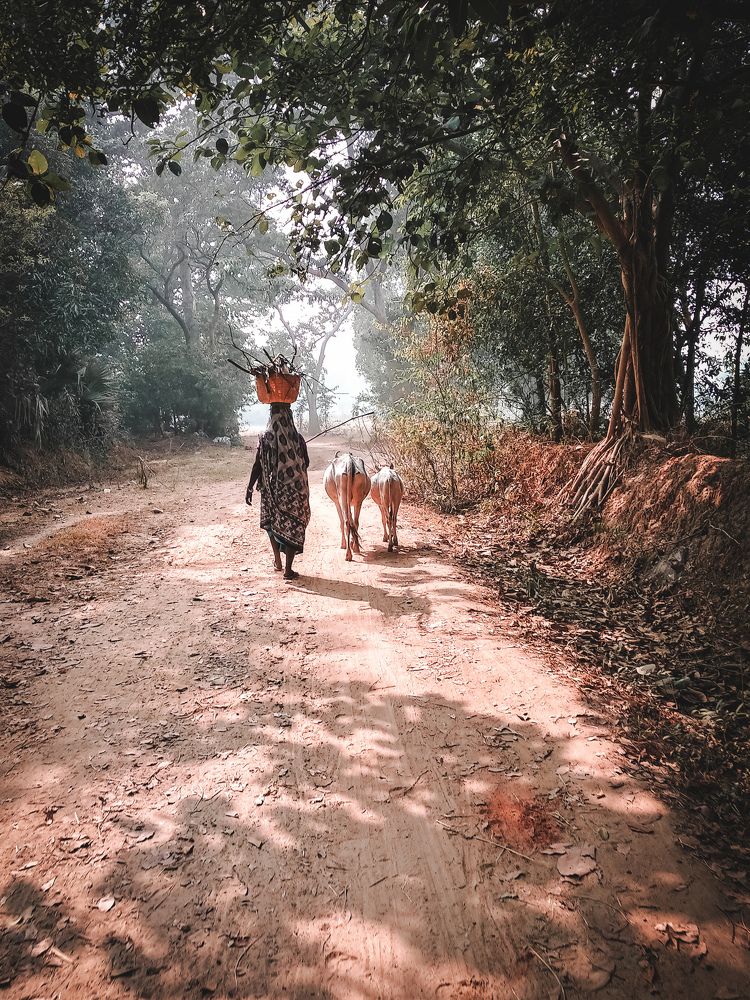 Photograph by Ayan Majee