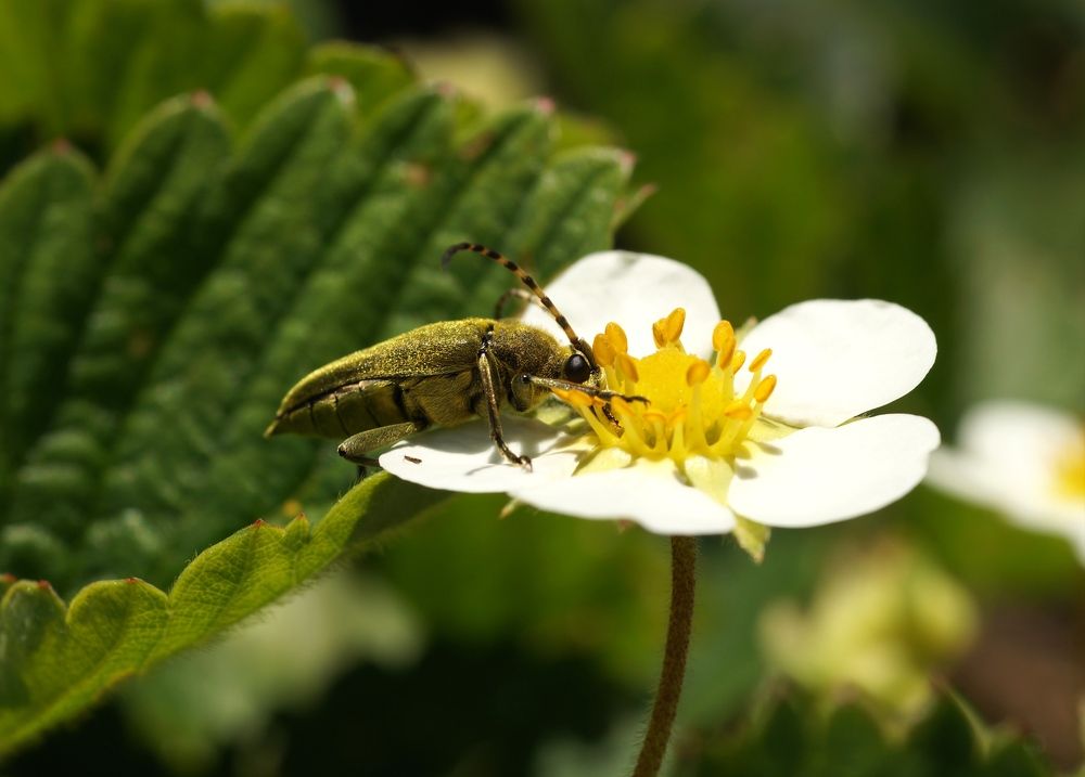 Photograph by Ирина Бондаренко