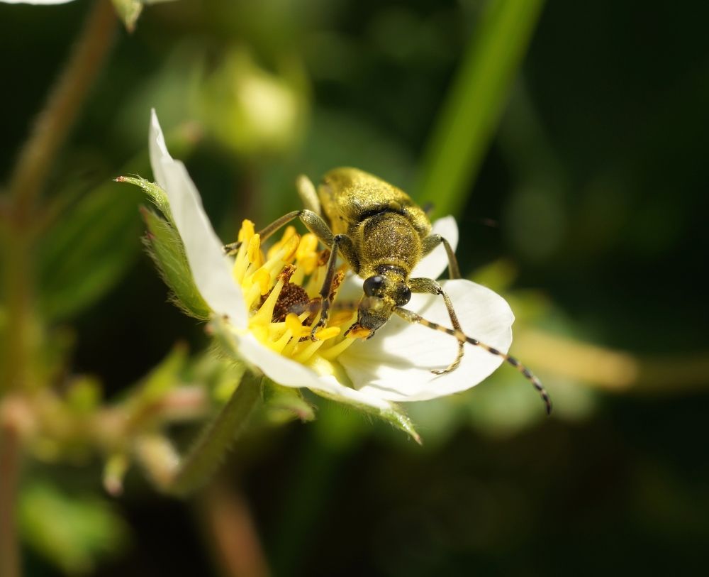 Photograph by Ирина Бондаренко