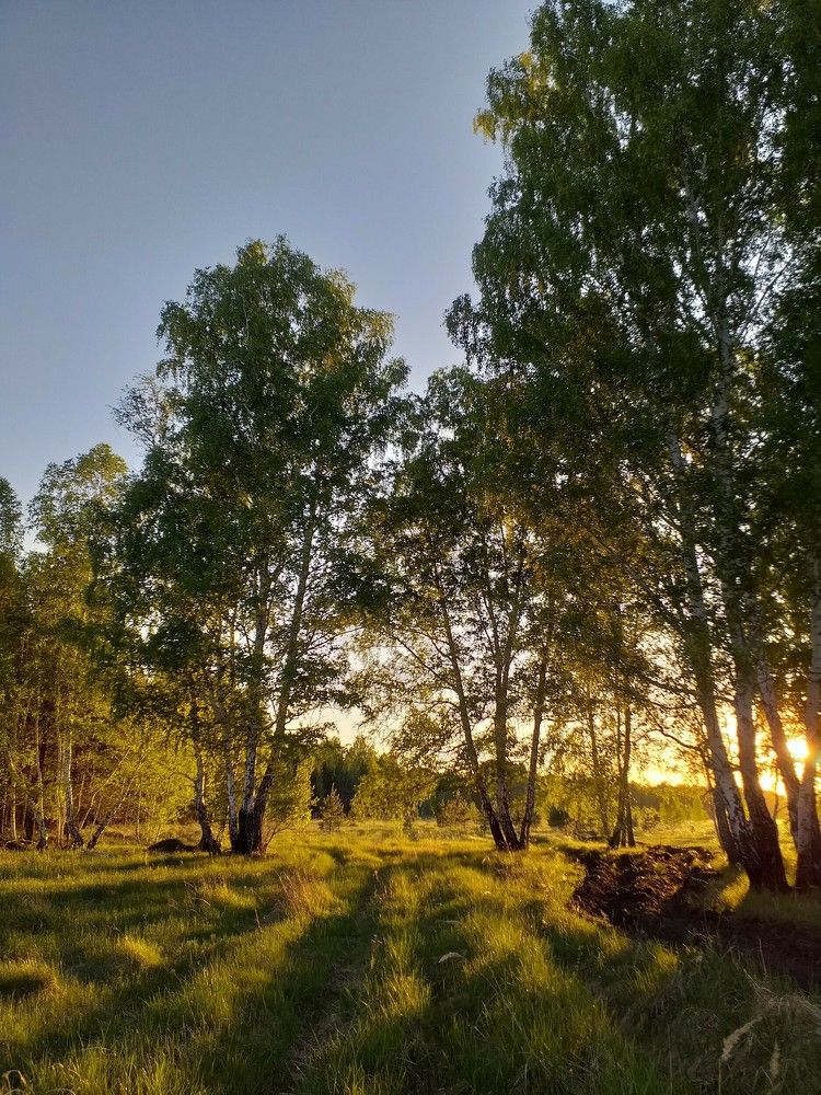 Photograph by Дэн