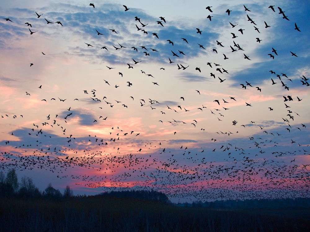 Photograph by Мазурин Евгений