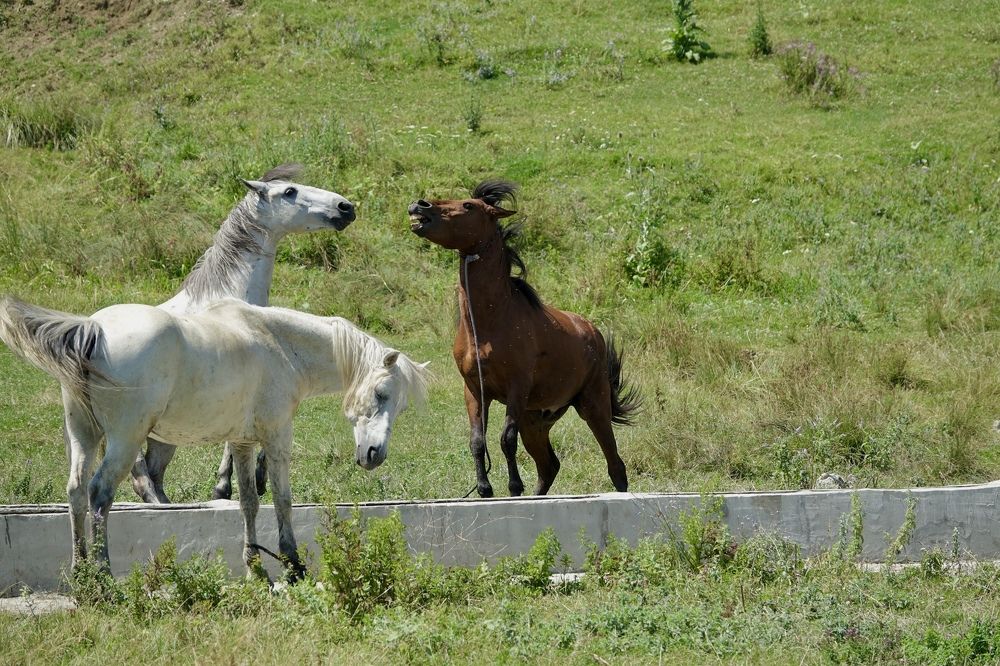 Photograph by Наталья Пирогова