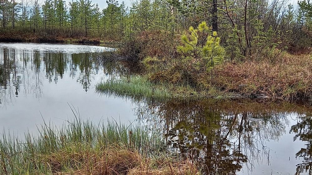 Фотография автора Евгения Зайцева