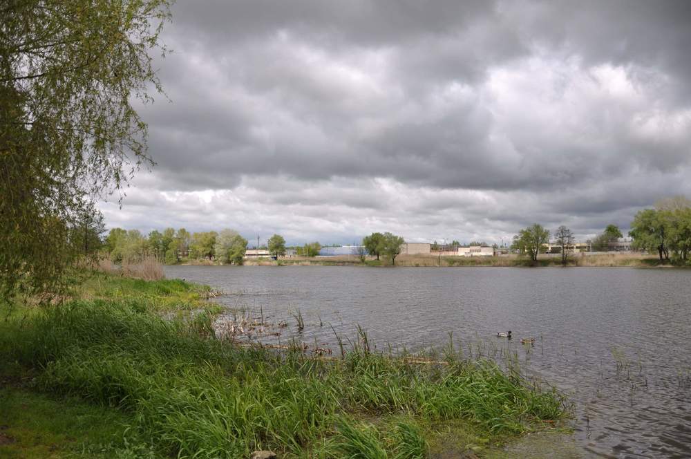 Photograph by Галина Лысых