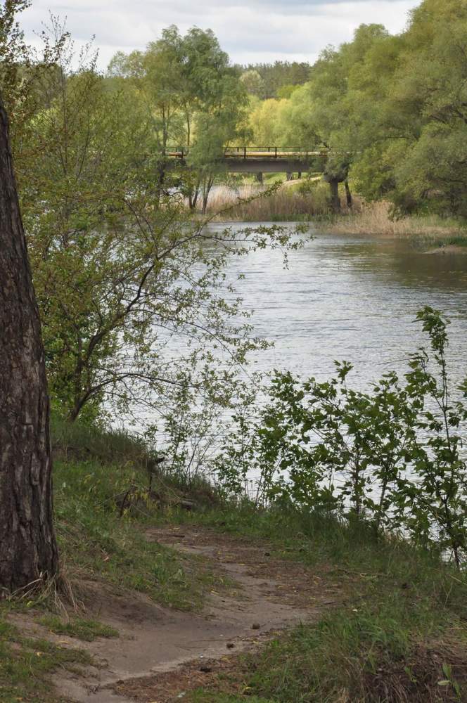 Photograph by Галина Лысых