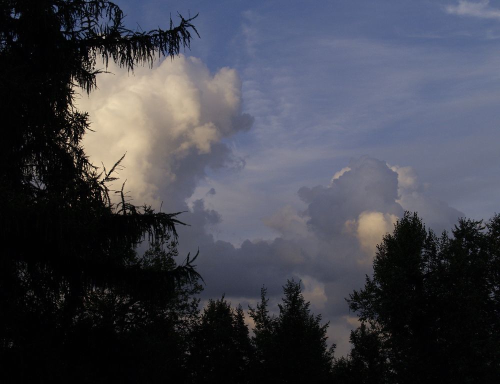 Photograph by Эрик Турман